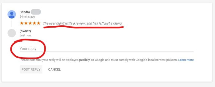 Image Screen Capture of a Google Rating Review